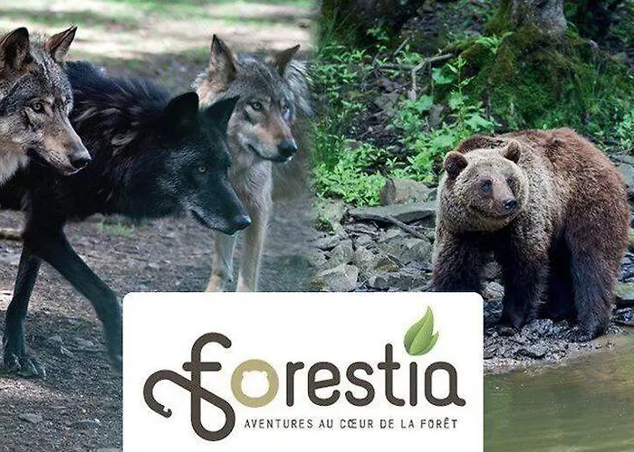 Halleux Hotel Banneux